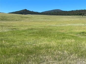 Ranch Rd, Hartsel, CO 80449