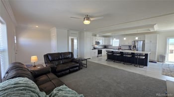 16363 Peacock Rd, San Luis, CO 81152