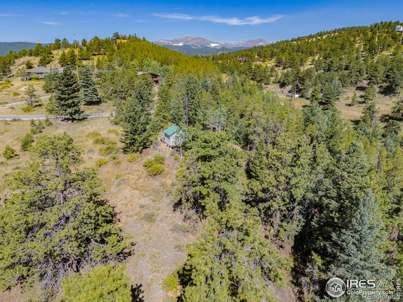 134 Hurricane Hill Dr, Nederland, CO 80466