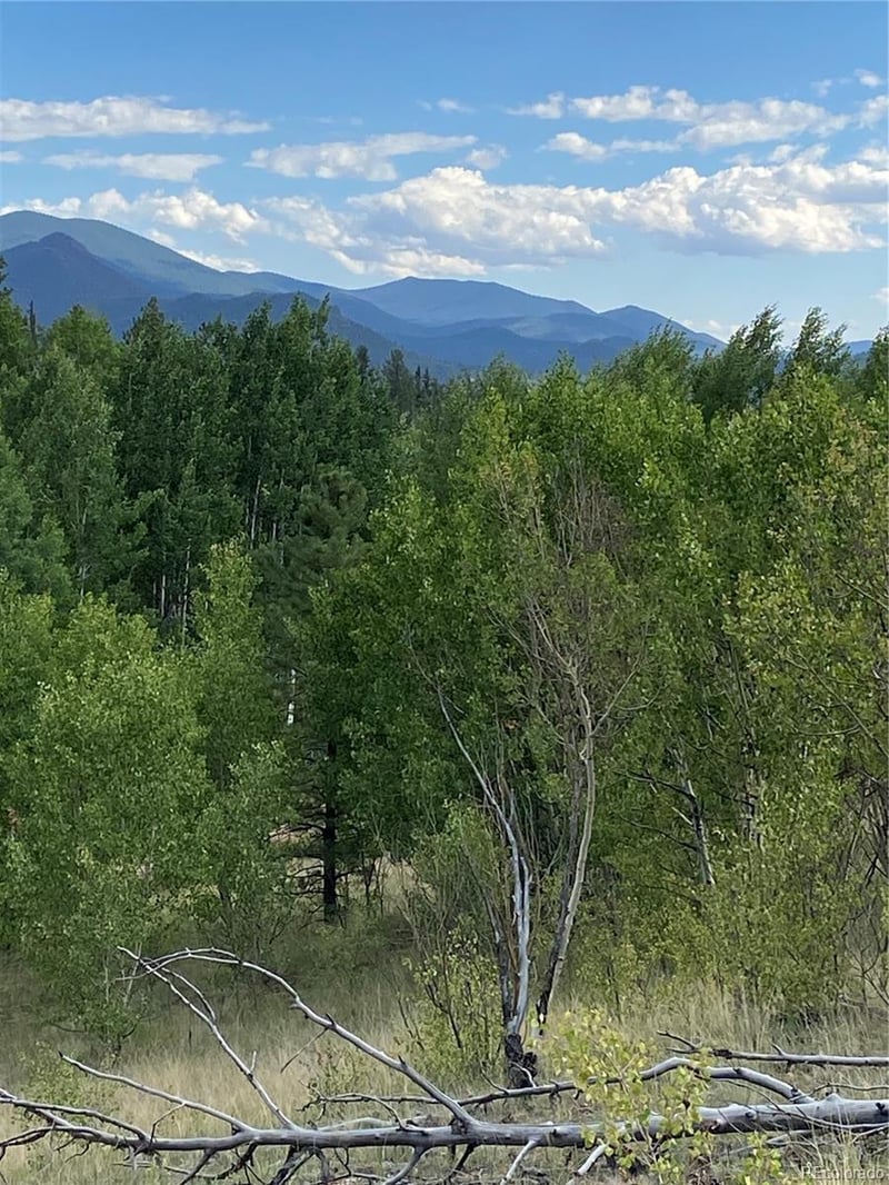 259 Bordenville Rd, Jefferson, CO 80456