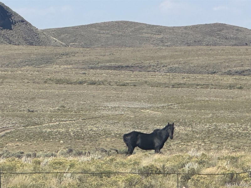 Lot 40 Mariposa , San Luis, CO 81152