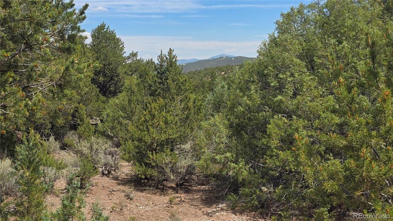 Lot 7892 Tiernan Rd, Fort Garland, CO 81133