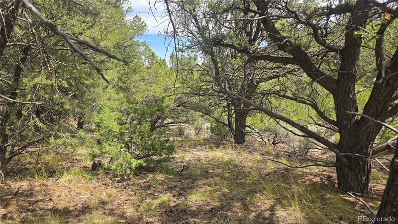 Lot 7892 Tiernan Rd, Fort Garland, CO 81133