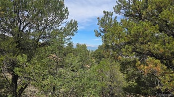 Lot 7892 Tiernan Rd, Fort Garland, CO 81133