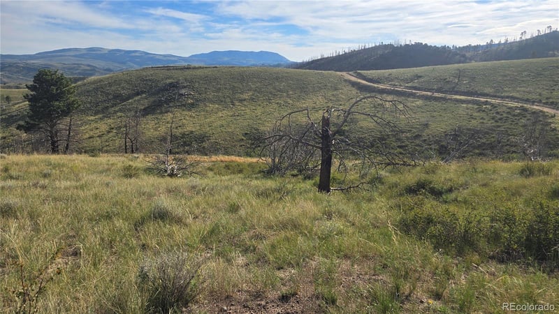 Lot 7719 Hallstein Rd, Fort Garland, CO 81133
