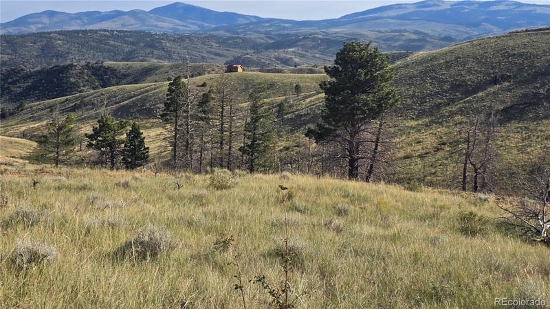 Lot 7719 Hallstein Rd, Fort Garland, CO 81133