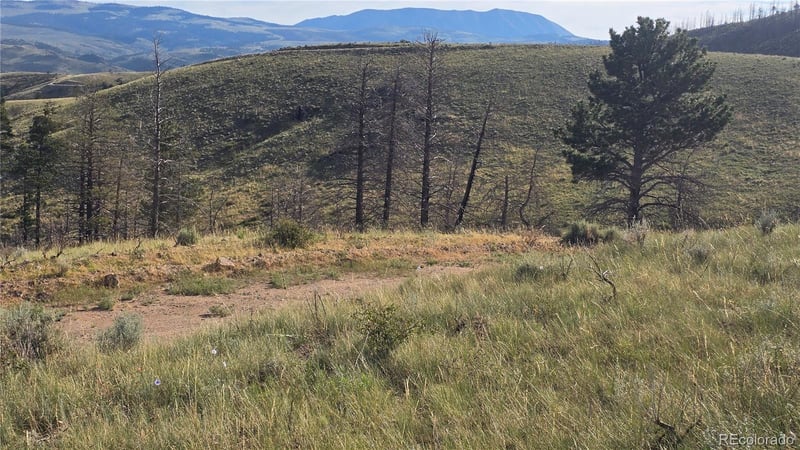 Lot 7719 Hallstein Rd, Fort Garland, CO 81133
