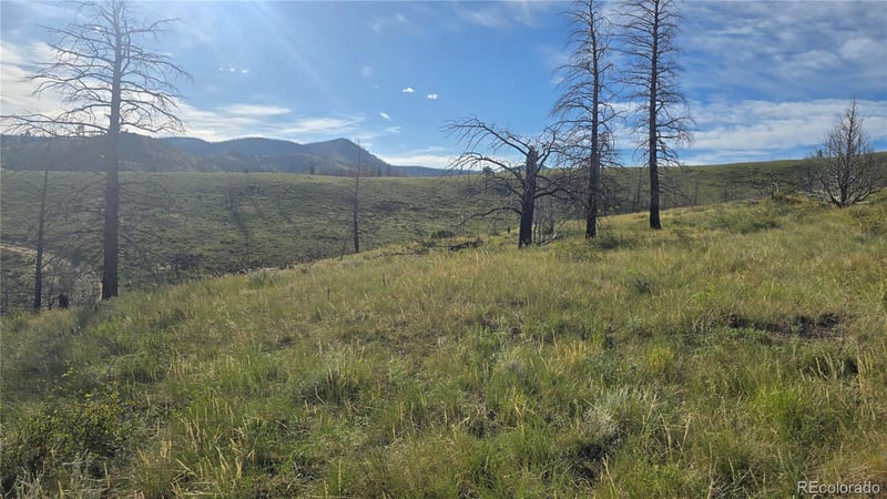 Lot 7719 Hallstein Rd, Fort Garland, CO 81133