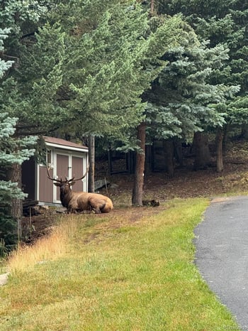 000 Meadowlark Dr, Evergreen, CO 80439