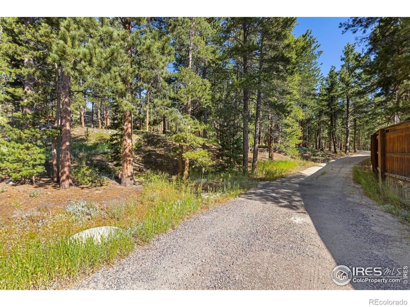705 Mcmillen Way, Nederland, CO 80466