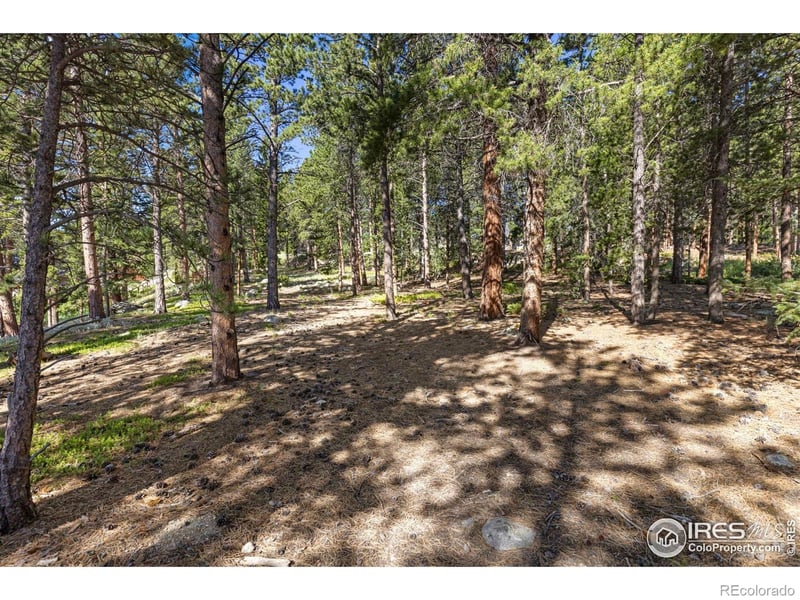 705 Mcmillen Way, Nederland, CO 80466