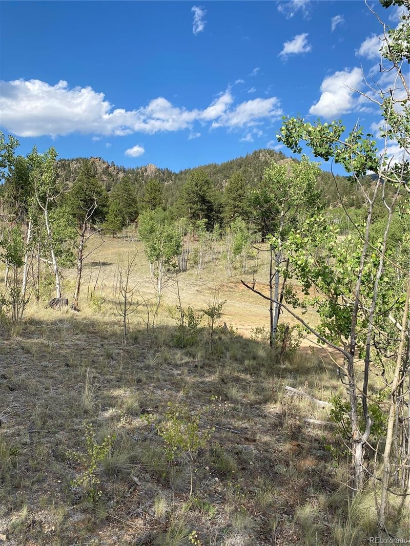 217 Bordenville Rd, Jefferson, CO 80456