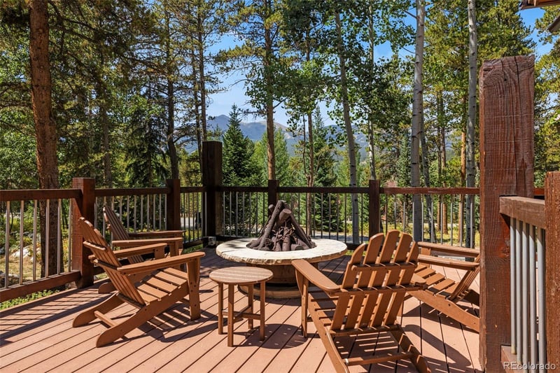 116 Dyer Trl, Breckenridge, CO 80424
