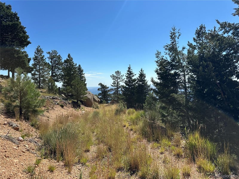 252 Grand Horizon, Manitou Springs, CO 80829