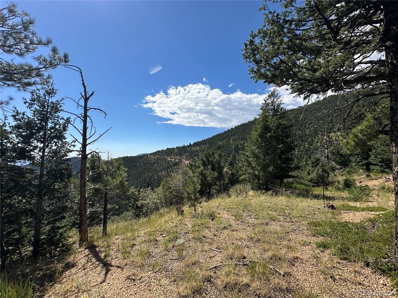 252 Grand Horizon, Manitou Springs, CO 80829