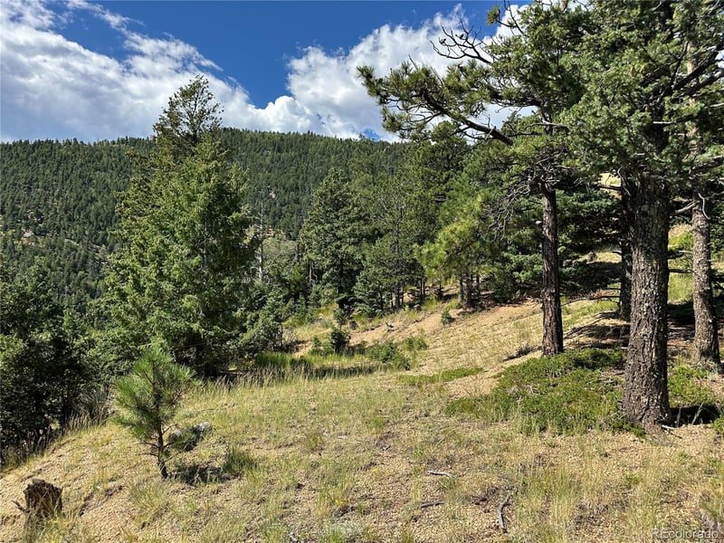 252 Grand Horizon, Manitou Springs, CO 80829
