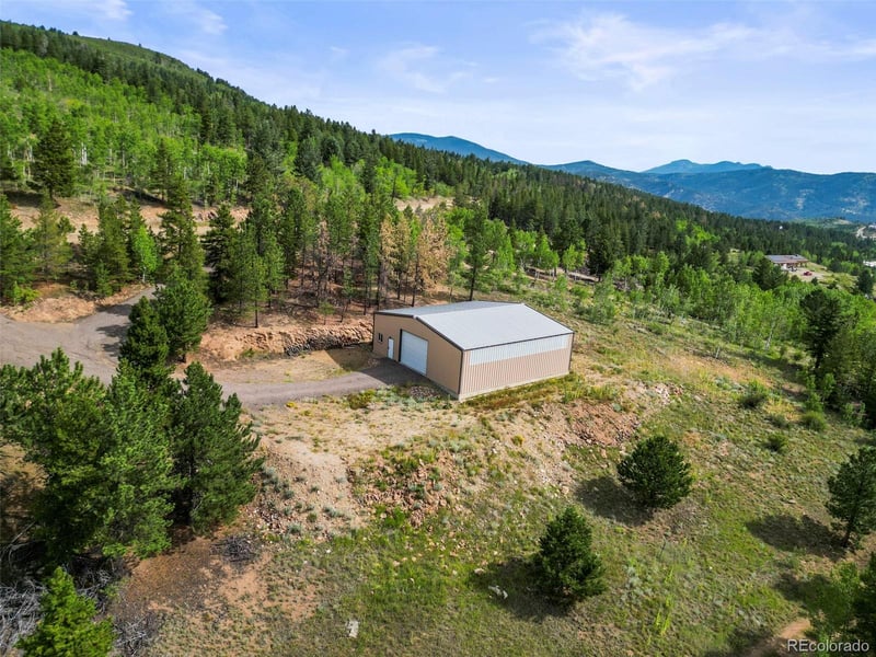 6660 Virginia Canyon Rd, Central, CO 80427