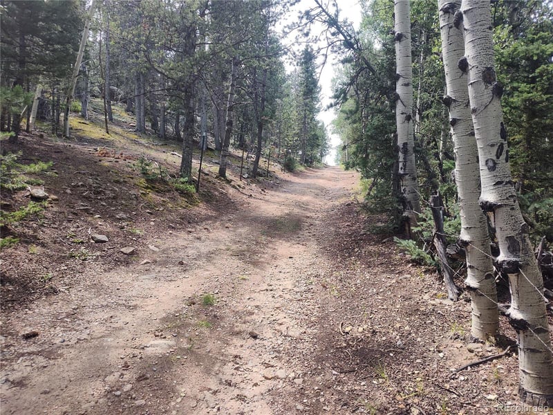 3154 Cr 863 , Victor, CO 80860