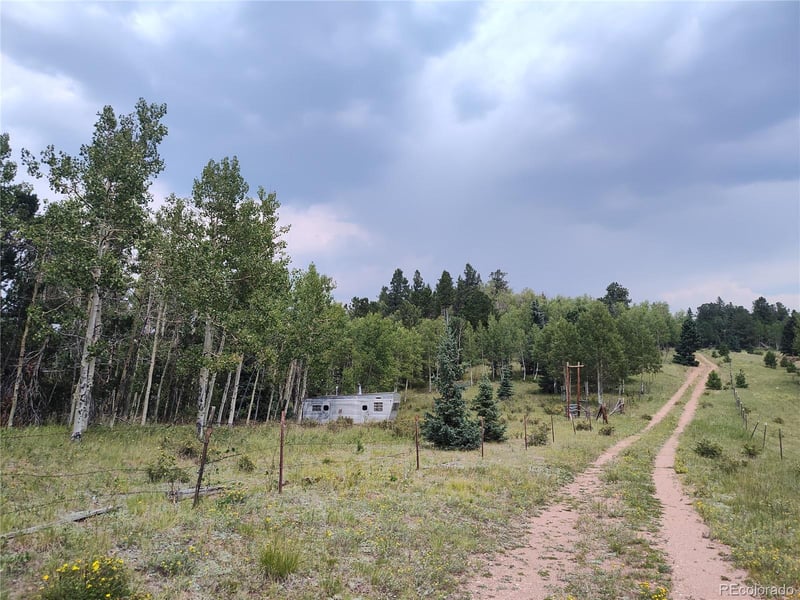 3154 Cr 863 , Victor, CO 80860