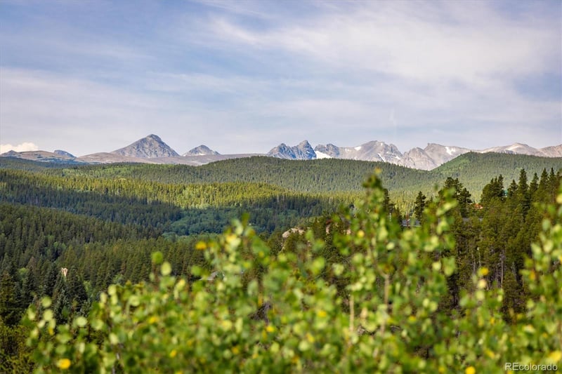 452 Pine Cone Dr, Ward, CO 80481