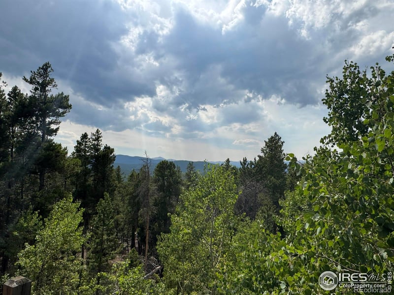 450 Wedgwood Rd, Black Hawk, CO 80422