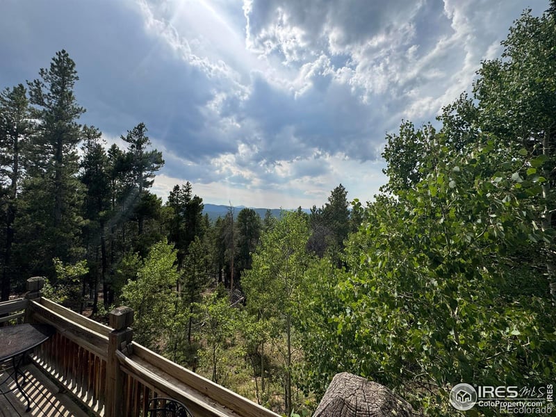 450 Wedgwood Rd, Black Hawk, CO 80422