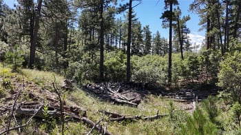 5080 Perry Park Rd, Sedalia, CO 80135