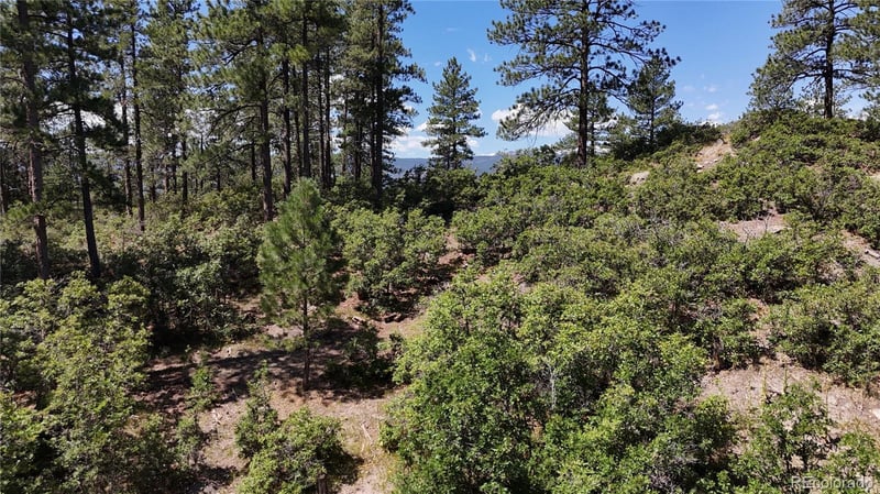 5080 Perry Park Rd, Sedalia, CO 80135
