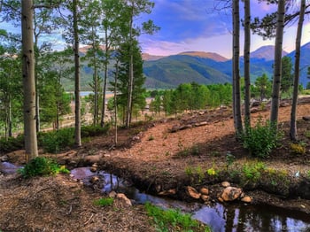 5585 Highway 82 Lot 15, Twin Lakes, CO 81251