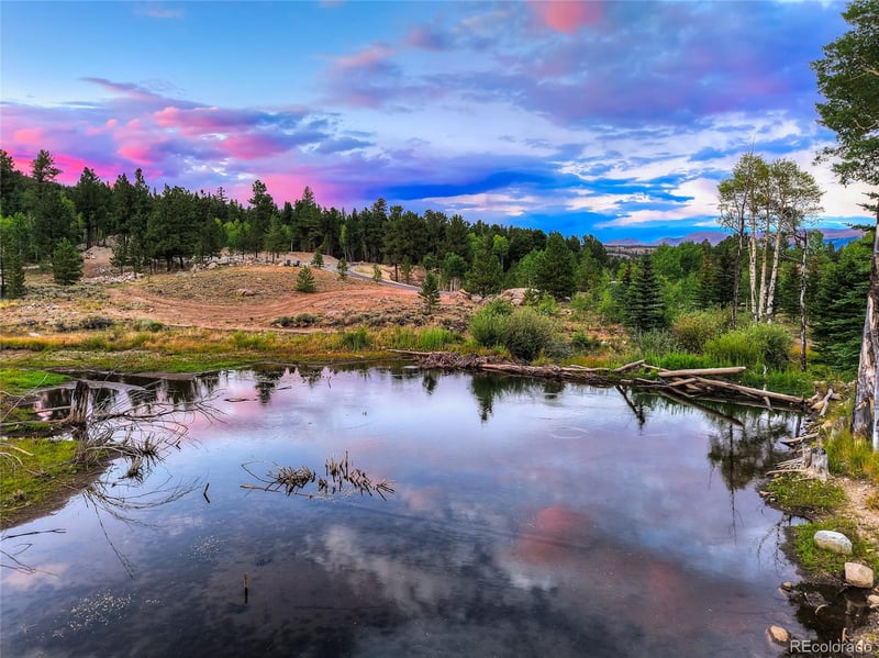 5585 Highway 82 Lot 16, Twin Lakes, CO 81251