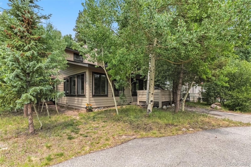 132 Reiling Rd, Breckenridge, CO 80424