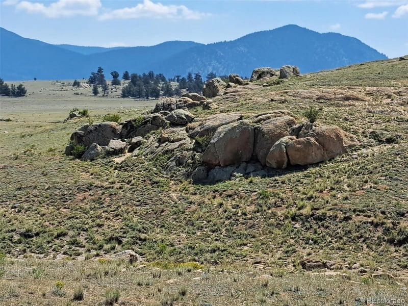 780 Ute Tc, Hartsel, CO 80449