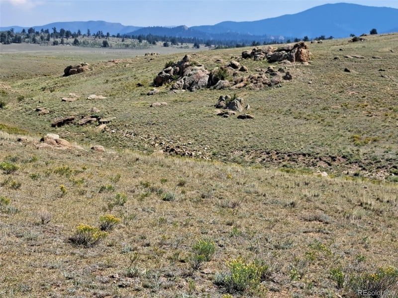 780 Ute Tc, Hartsel, CO 80449