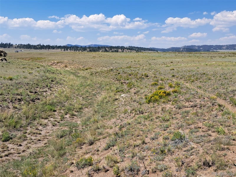 780 Ute Tc, Hartsel, CO 80449