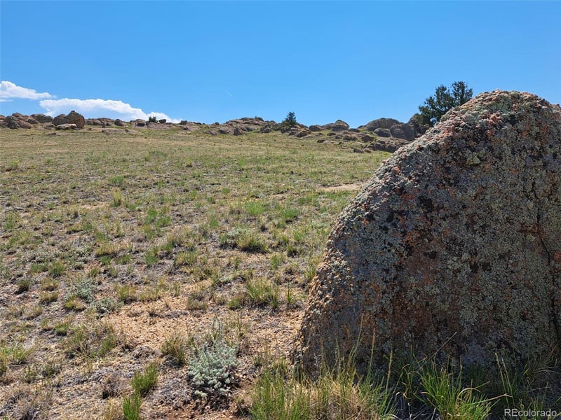 780 Ute Tc, Hartsel, CO 80449