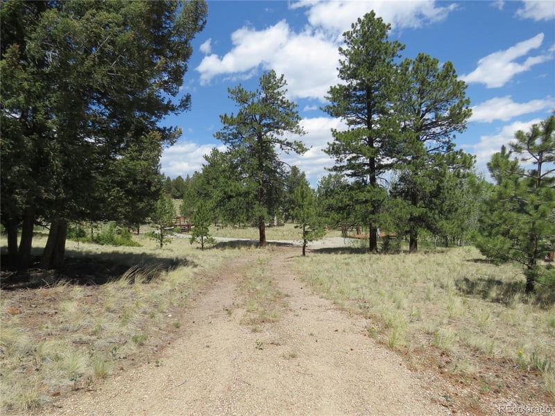 9389 Ranch Rd, Hartsel, CO 80449