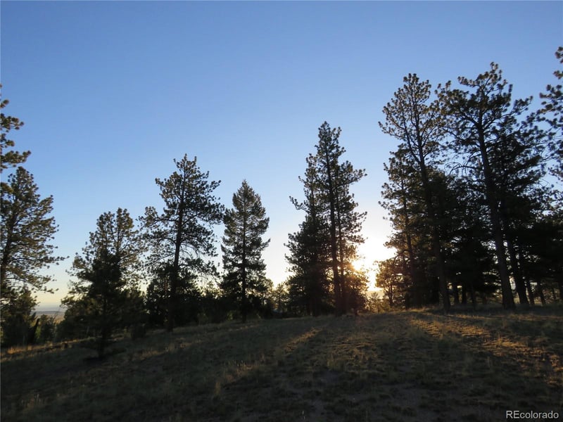 9389 Ranch Rd, Hartsel, CO 80449