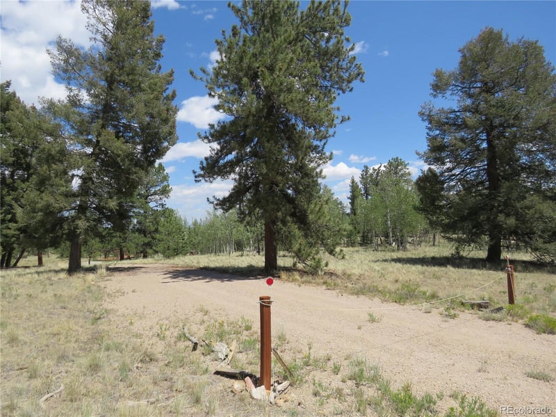 9389 Ranch Rd, Hartsel, CO 80449