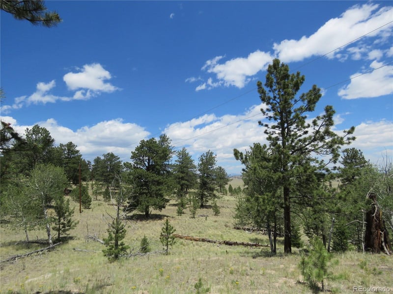 9389 Ranch Rd, Hartsel, CO 80449