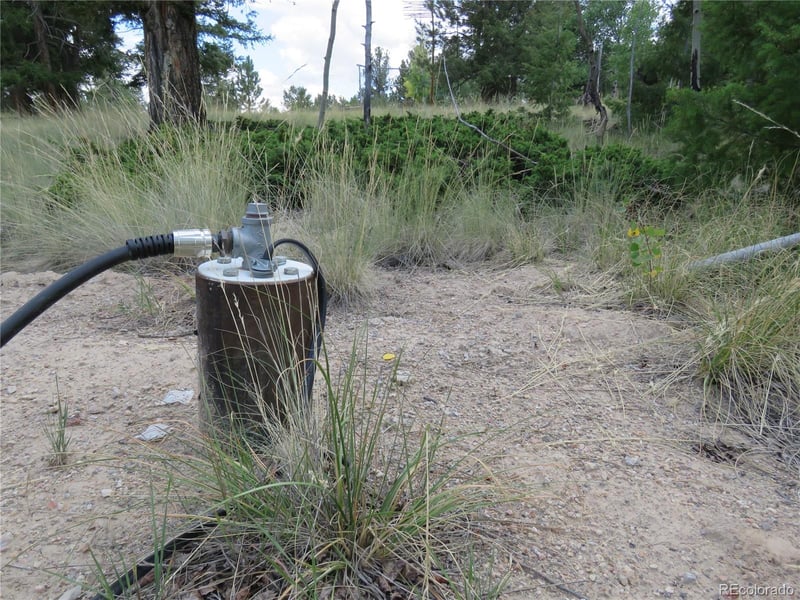 9389 Ranch Rd, Hartsel, CO 80449