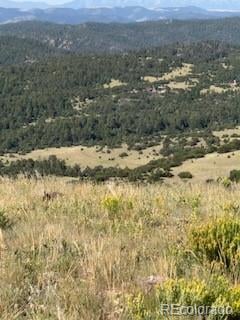 Flat Top Dr, Canon City, CO 81212