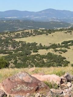 Flat Top Dr, Canon City, CO 81212