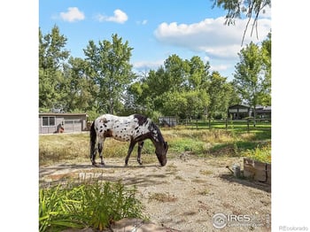 819 Gapter Rd, Boulder, CO 80303