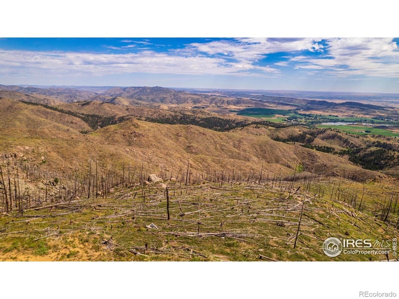0 Pine Acres, Bellvue, CO 80512