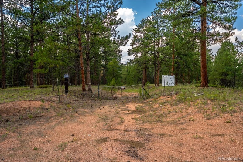 Sh 67, Woodland Park, CO 80863
