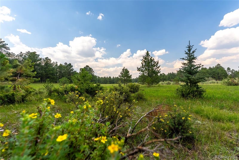 Sh 67, Woodland Park, CO 80863