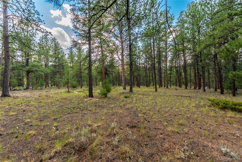 Sh 67, Woodland Park, CO 80863