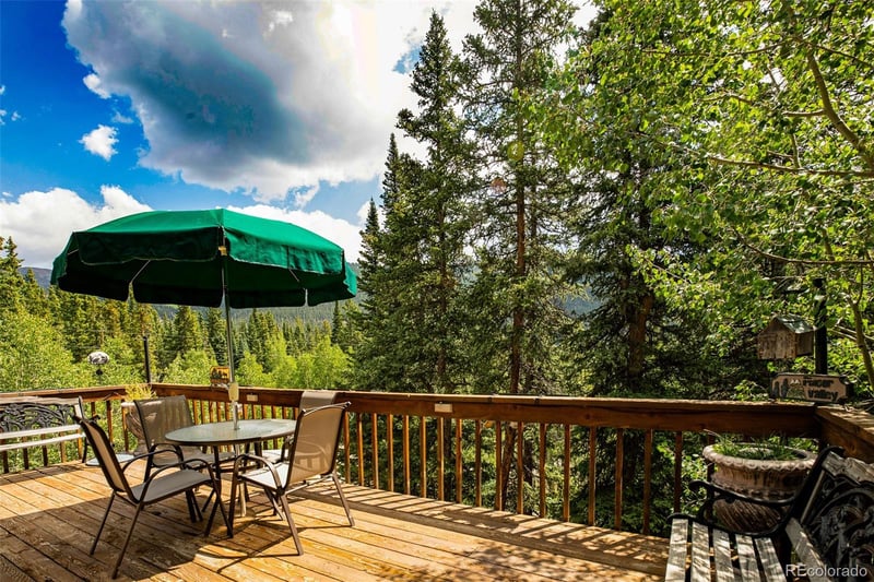 389 Peterson Dr, Alma, CO 80420