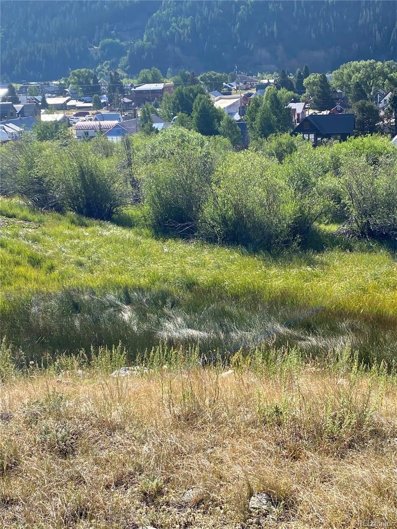 Snowden St, Silverton, CO 81433