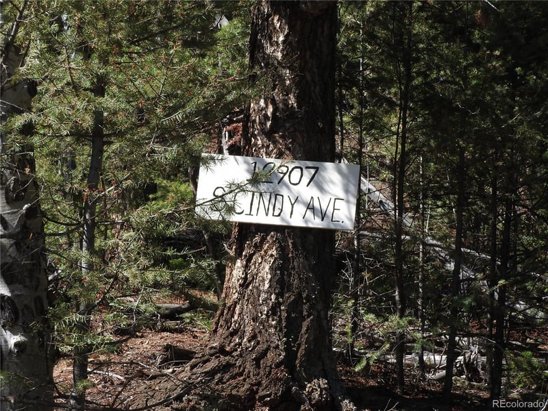 12907 Cindy Ave, Pine, CO 80470